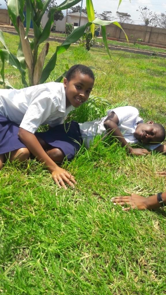 FROM DIRT TO LUSH GRASS